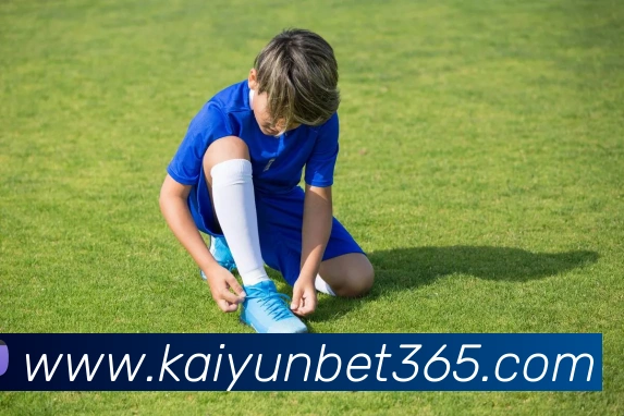 开云体育APP 封面图